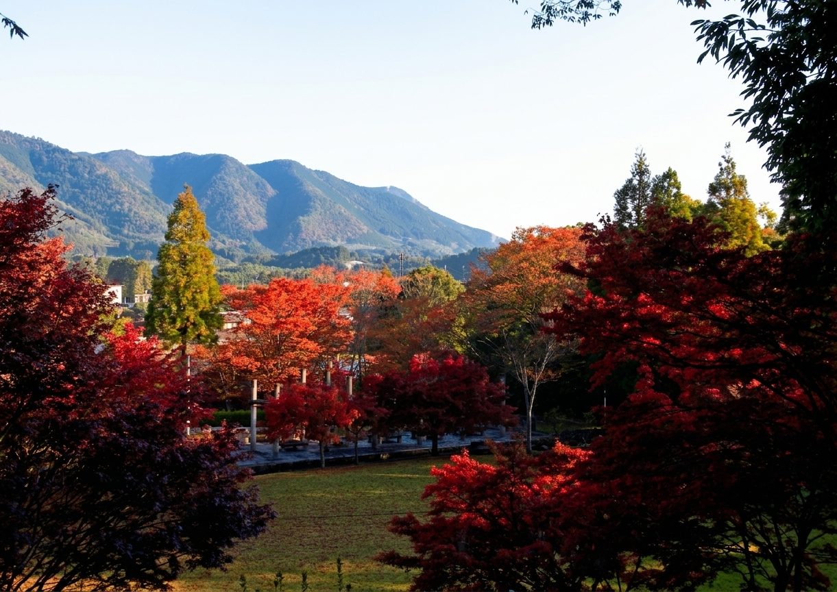 和束運動公園の紅葉と山なみ