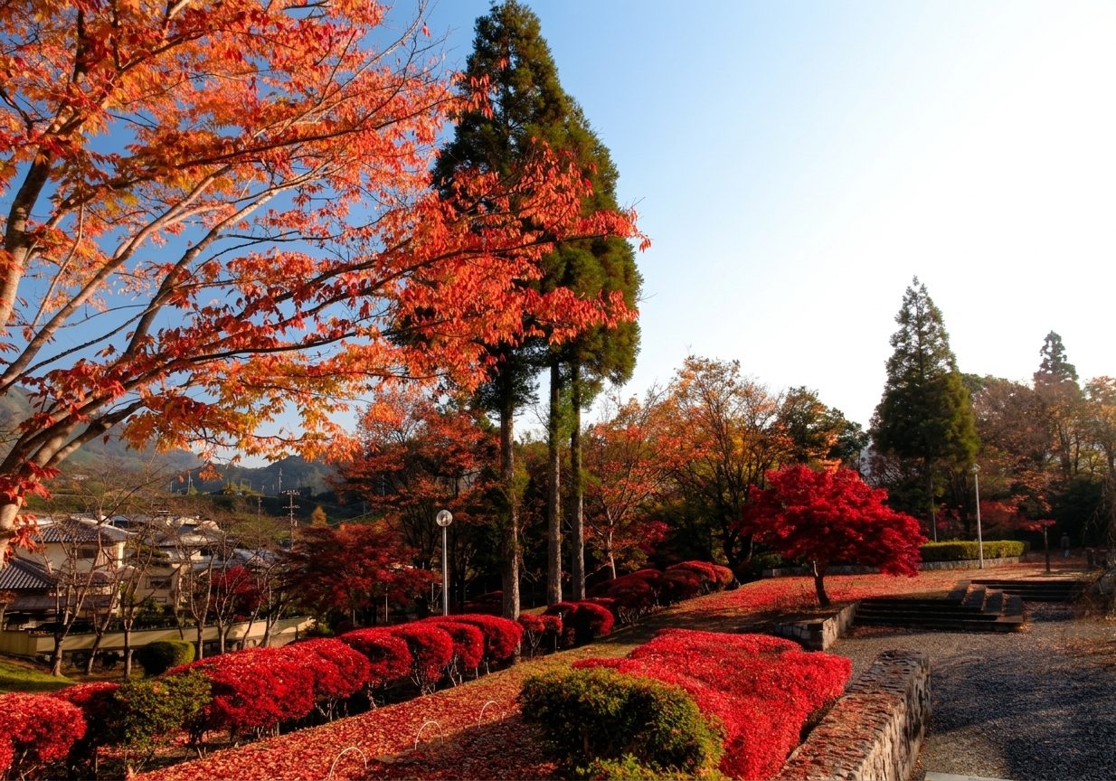 和束運動公園の紅葉並木