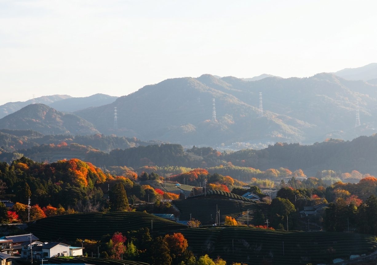 毘沙門寺上の府道より・秋
