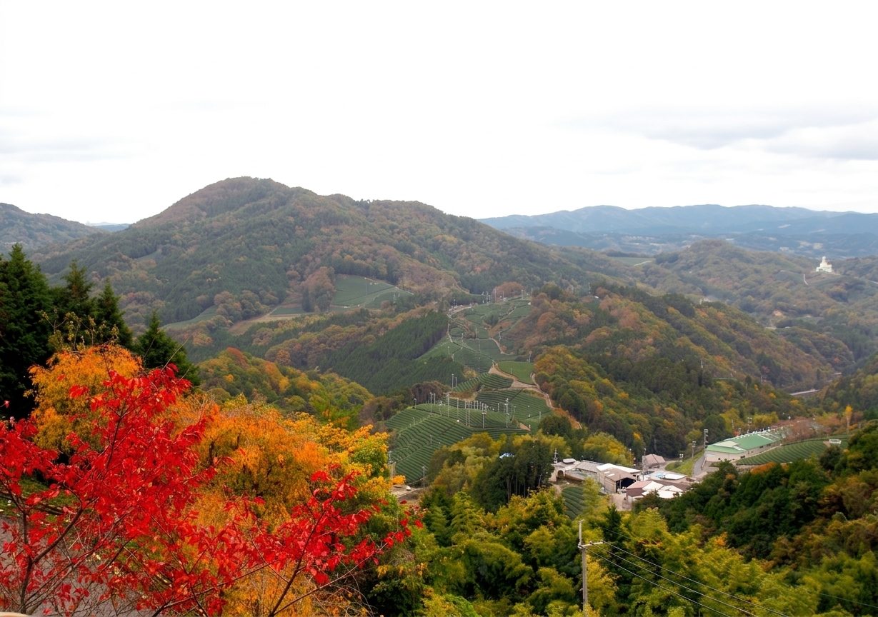 腰越峠付近より白栖・撰原を望む