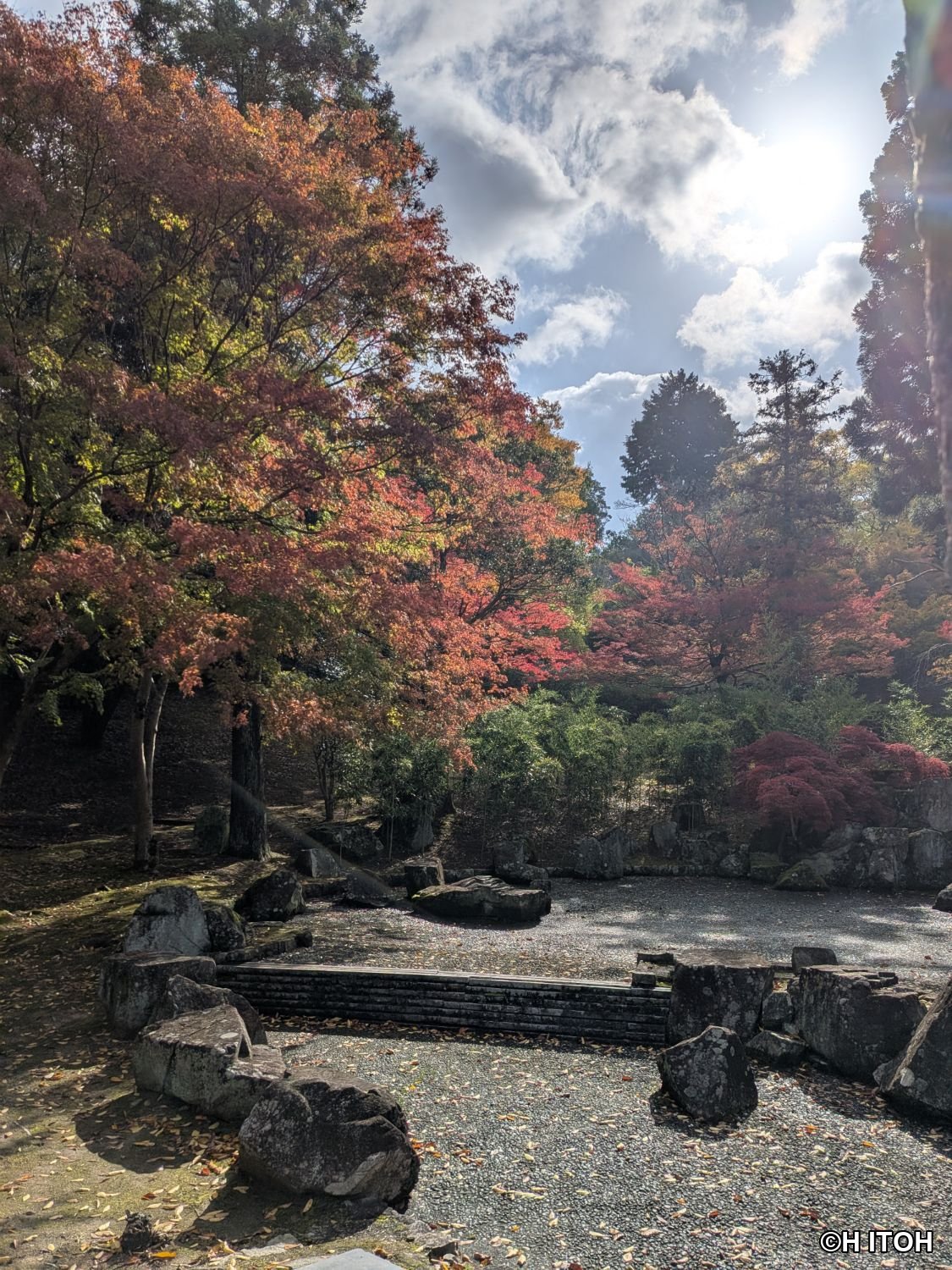 庭園に広がる紅葉