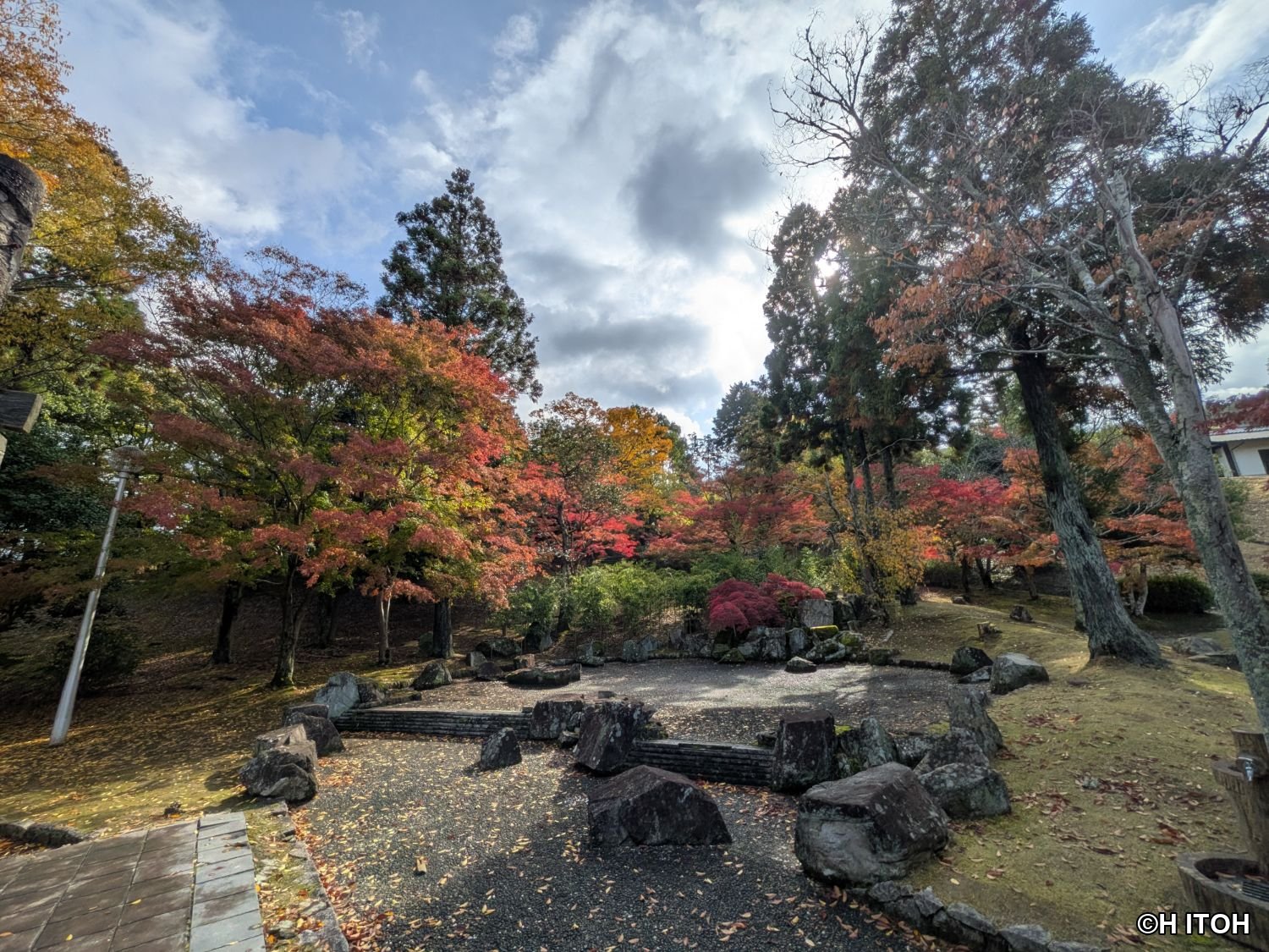 青空に映える紅葉