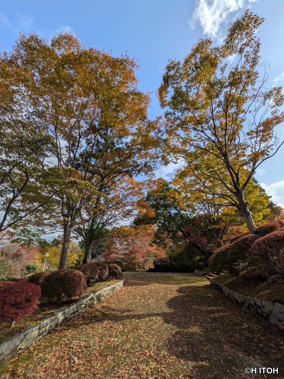 紅葉の小径