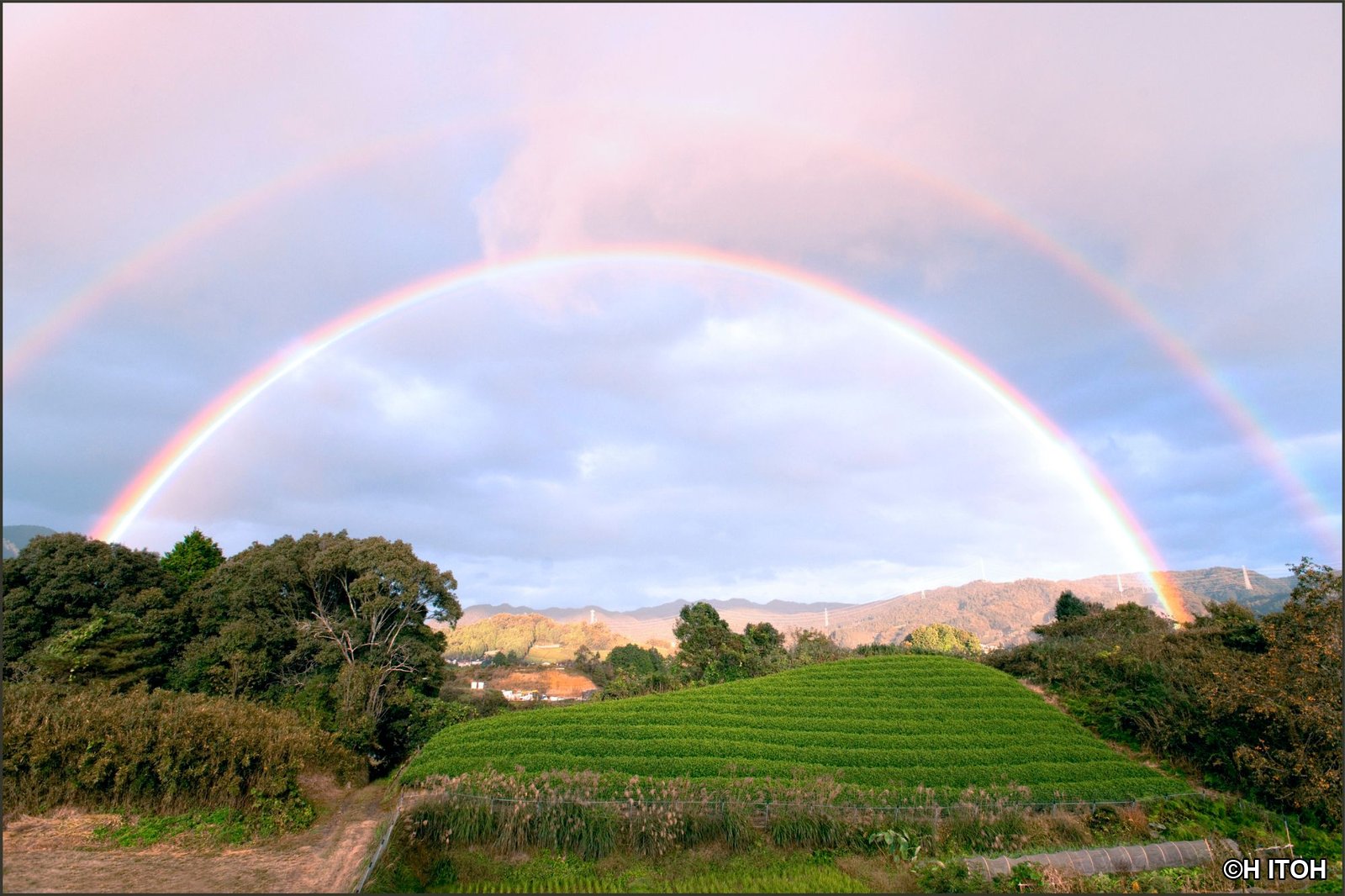 A great rainbow over the tea fields