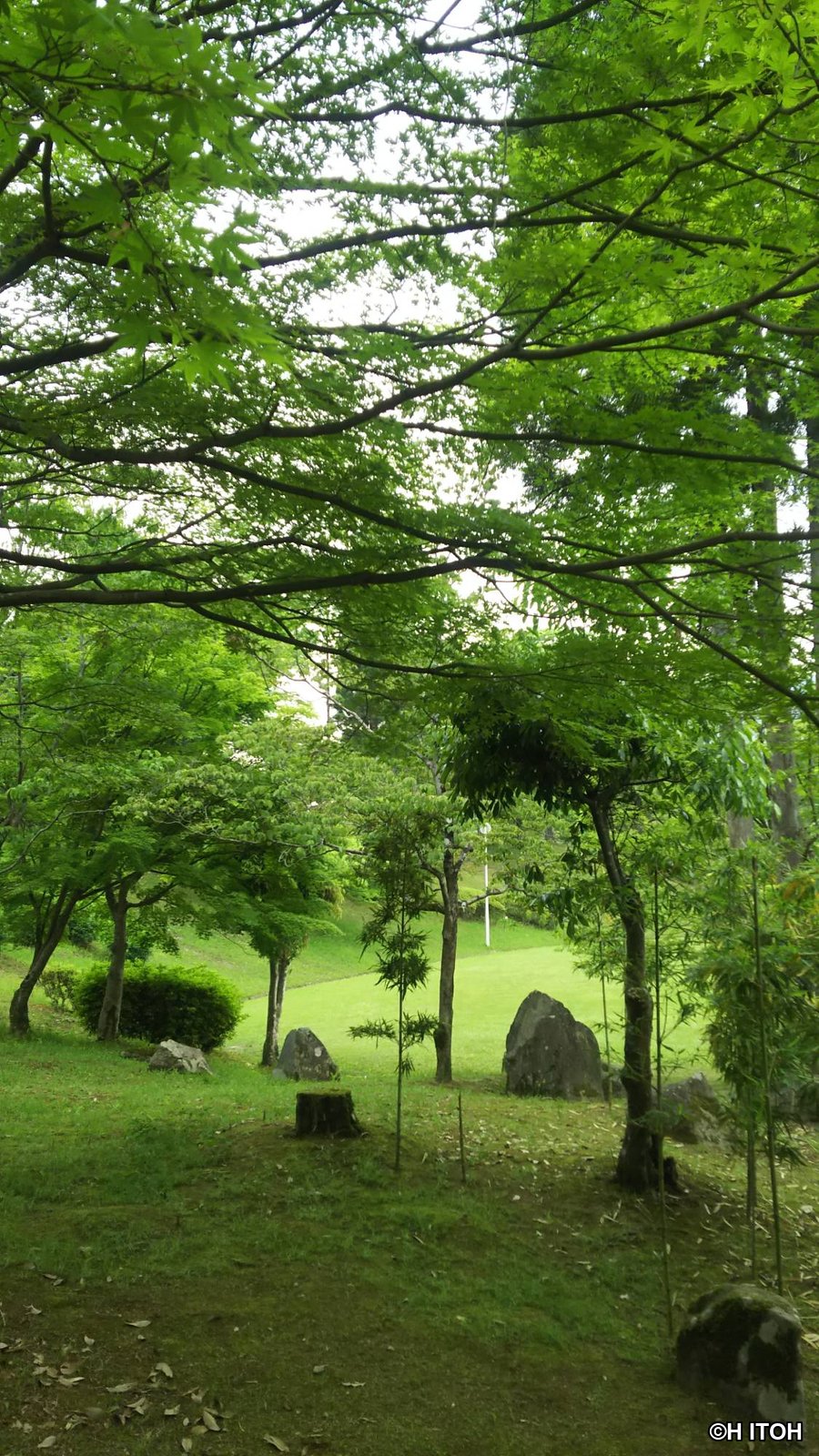 新緑の庭園