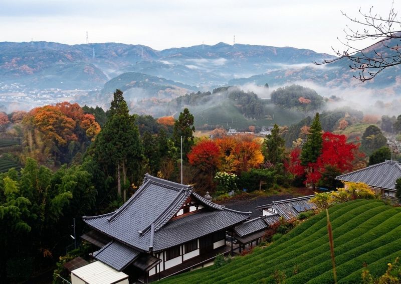 Autumn at Bishamonji, Shirasu