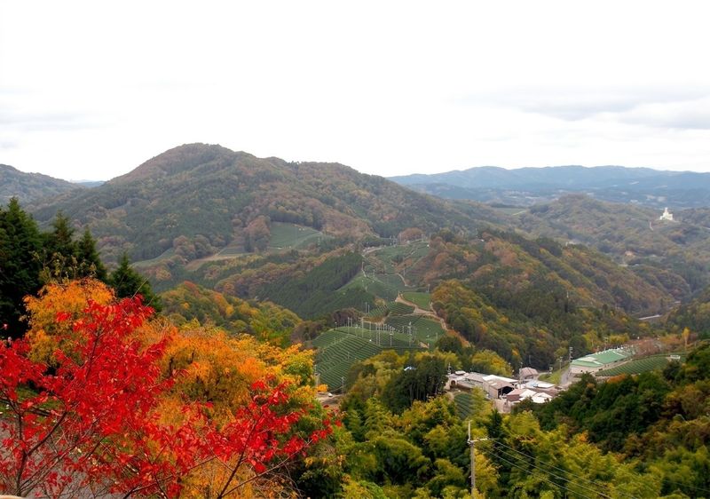 Shirasu and Erihara from Koshigoe Pass