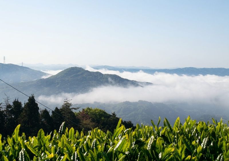 Sea of clouds toward Mt. Yuya, Koshigoe Pass