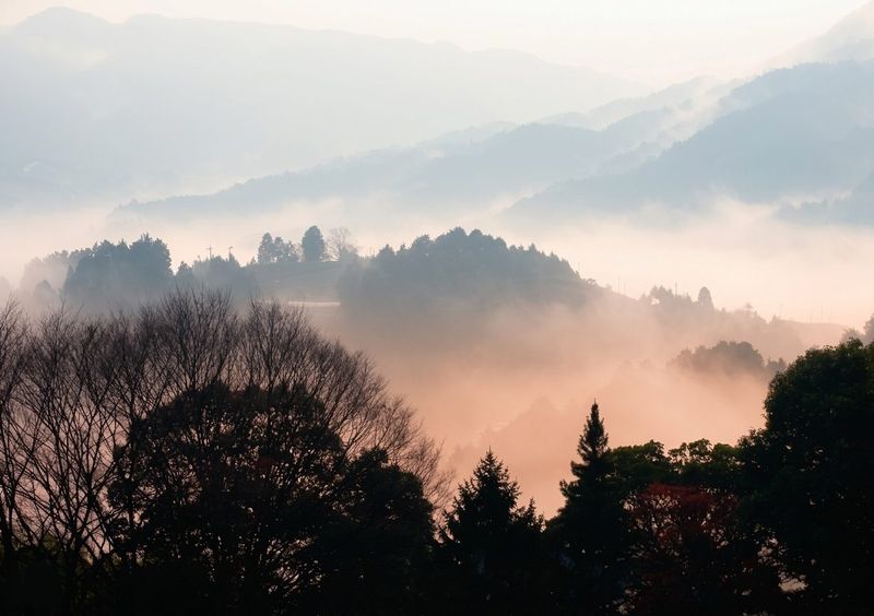 The village in morning mist
