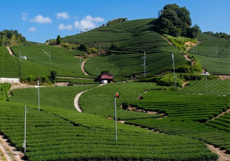 Ishitera, a Kyoto Prefecture Landscape Asset