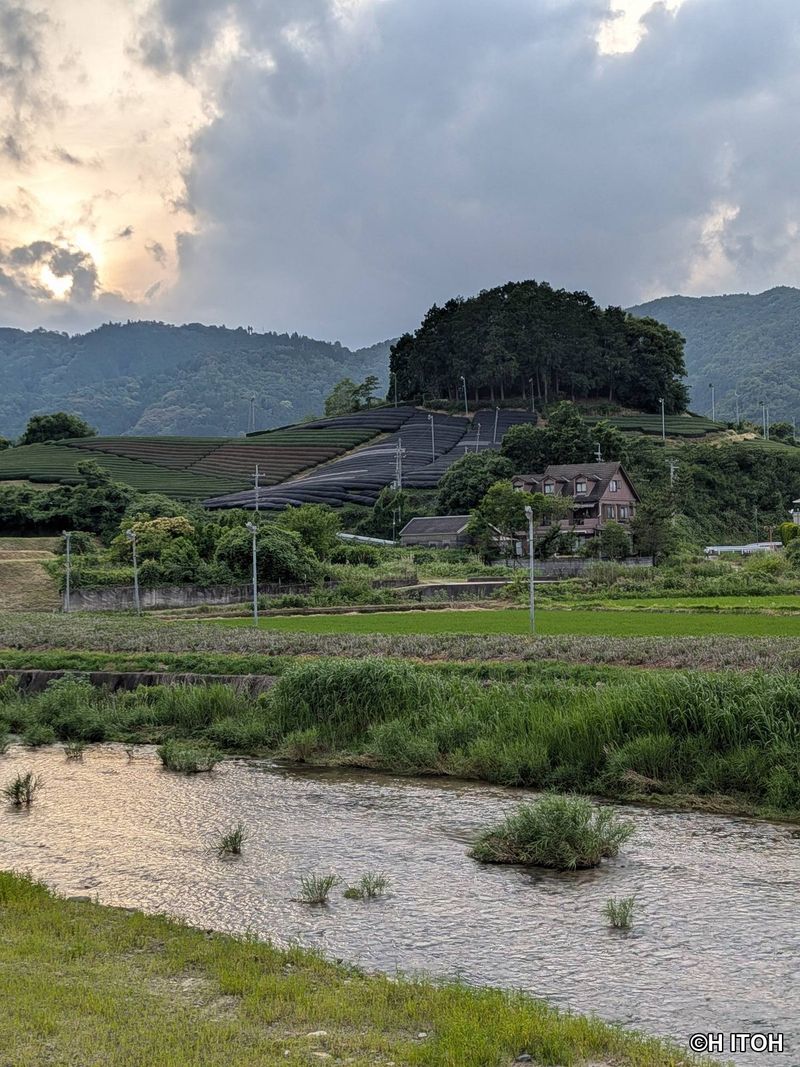 The tomb of Prince Asaka across the Wazuka River
